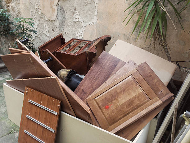 Best Junk Removal Near Me  in Vamo, FL